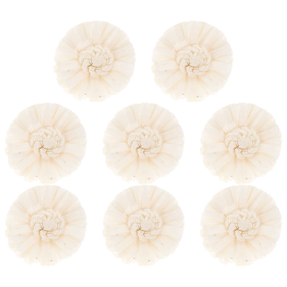 8 ชิ้น ดอกเบญจมาศไม่มีเปลวไฟ ด - Home Fragrance Usa บทวิจารณ์และราคา