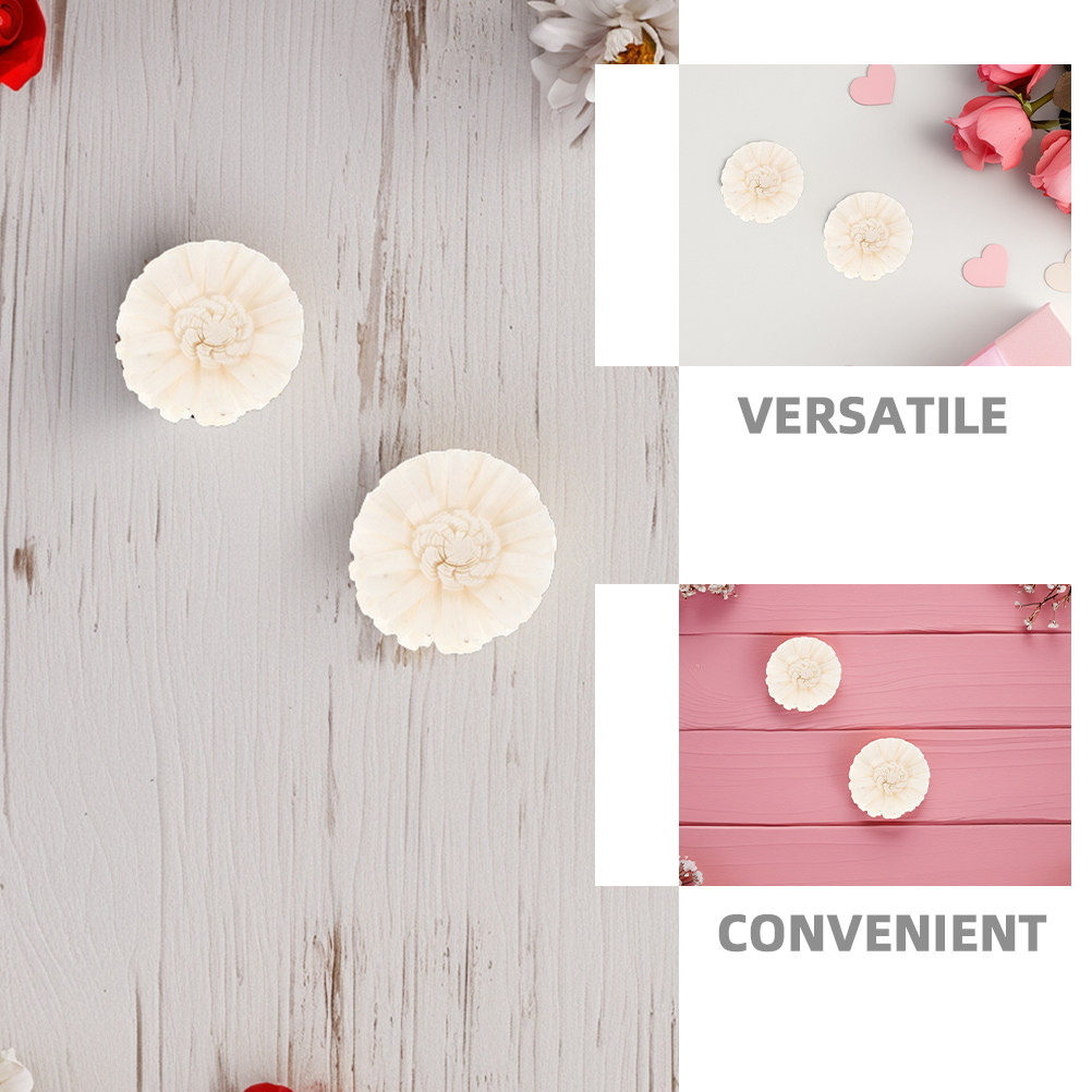 8 ชิ้น ดอกเบญจมาศไม่มีเปลวไฟ ด - Home Fragrance Usa บทวิจารณ์และราคา
